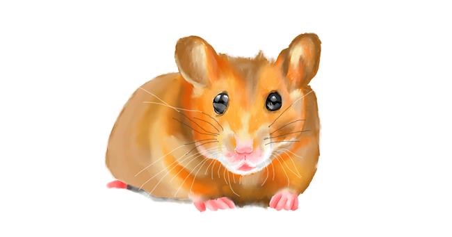 Drawing of Hamster by IThinkWereDoomed