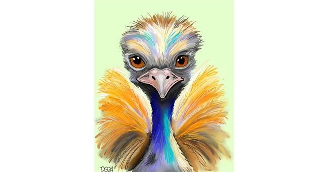 Drawing of Ostrich by GreyhoundMama