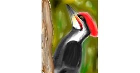 Drawing of Woodpecker by Walter nonwhite