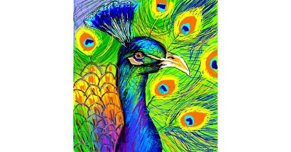 Drawing of Peacock by KayXXXlee - Drawize Gallery!