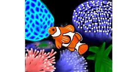 Drawing of Clownfish by Sasha