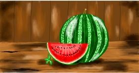 Drawing of Watermelon by Eclat de Lune