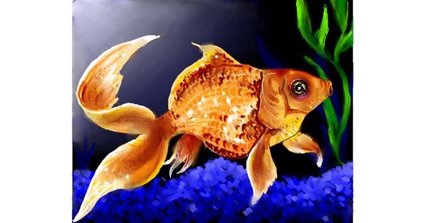 how to draw a goldfish