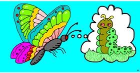 Drawing of Caterpillar by Swimmer 