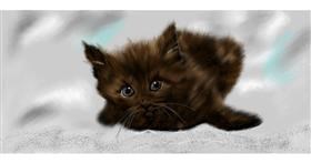Drawing of Kitten by Chaching