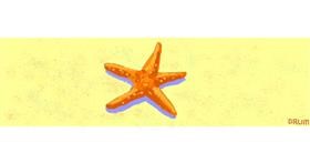 Drawing of Starfish by Drum