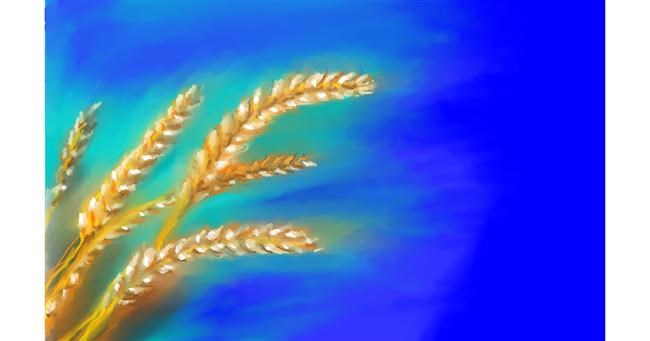 Drawing of Wheat by Edgar