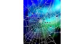 Drawing of Spider web by Randi