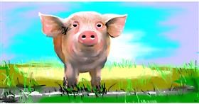 Drawing of Pig by Swimmer