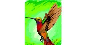 Drawing of Hummingbird by Arif