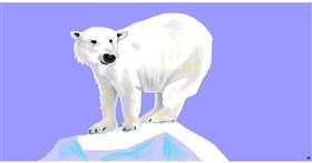 Drawing of Polar Bear by Swimmer 