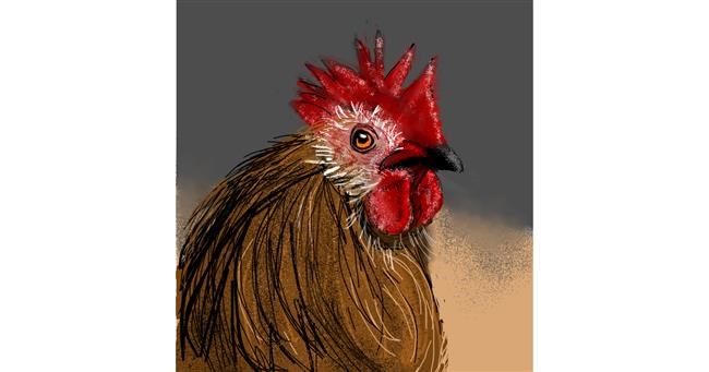 Drawing of Rooster by KayXXXlee