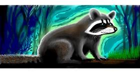 Drawing of Raccoon by Sumafela