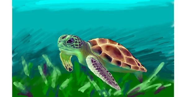 Drawing of Sea turtle by Sjkdovey - Drawize Gallery!