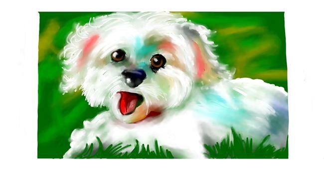 Drawing of Dog by DebbyLee