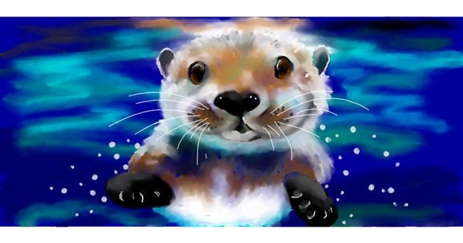 Drawing of Otter by DebbyLee