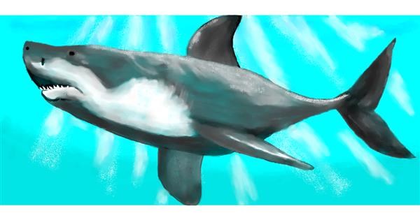 Drawing of Shark by Debidolittle - Drawize Gallery!