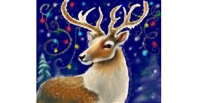 Drawing of Reindeer by Yasi