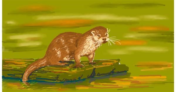 Drawing of Otter by shiNIN - Drawize Gallery!