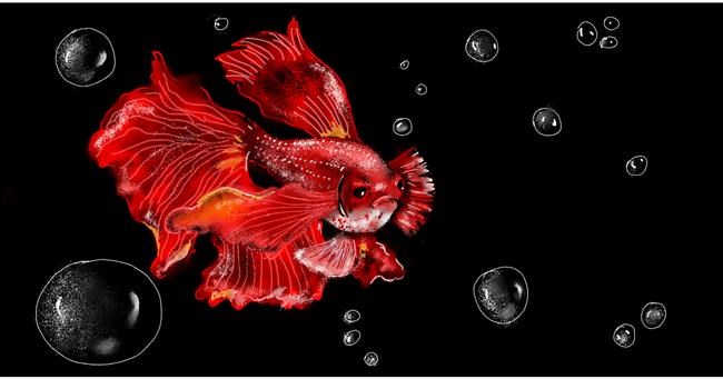 Drawing of Goldfish by Eclat de Lune