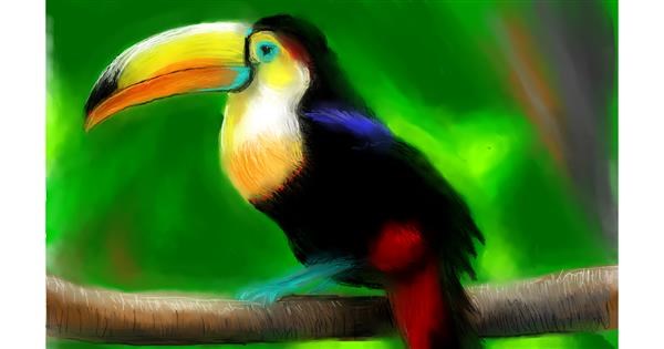 Drawing of Toucan by Herbert - Drawize Gallery!