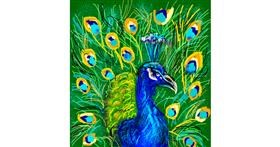 Drawing of Peacock by KayXXXlee