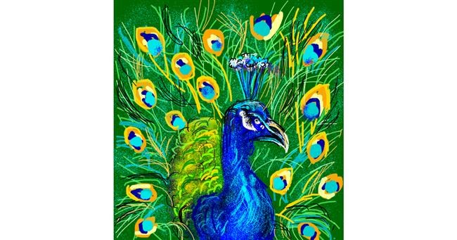 Drawing of Peacock by KayXXXlee