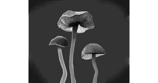 Drawing of Mushroom by ImagineBastille