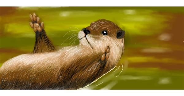 river otter swimming drawing