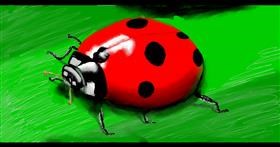 Drawing of Ladybug by SAM AKA MARGARET 🙄