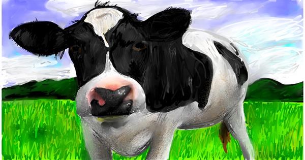 Drawing Of Cow By Mia - Drawize Gallery!