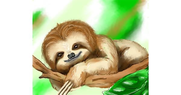 sloth illustration