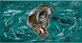 Drawing of Hippo by Eclat de Lune