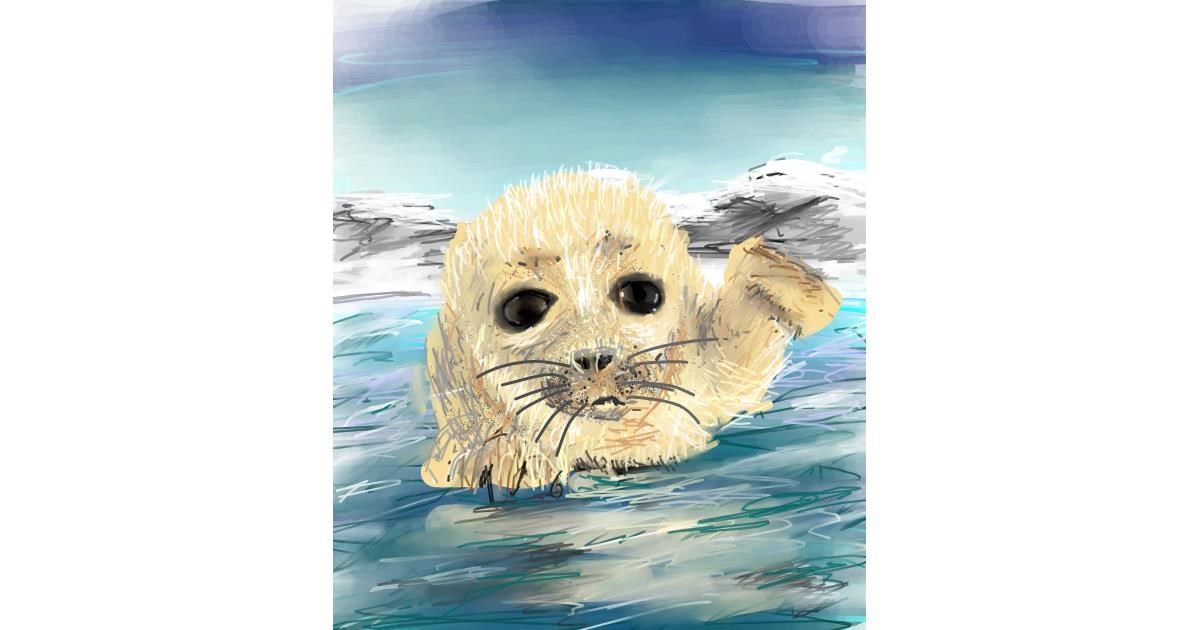 Seal Drawing by Muni - Drawize Gallery!