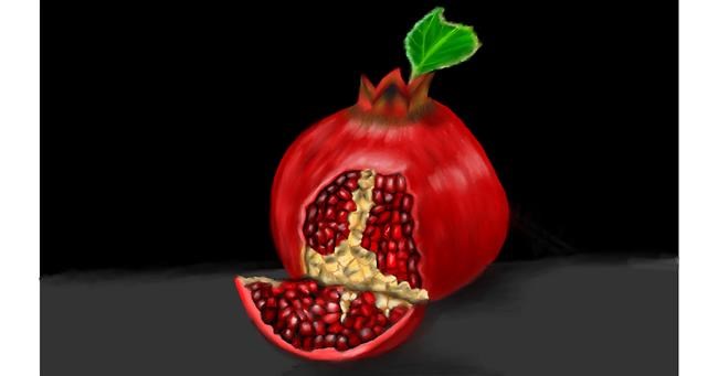 Drawing of Pomegranate by Aminich