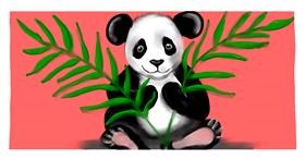 Drawing of Panda by DebbyLee