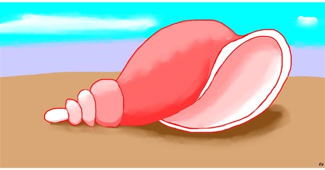 Drawing of Seashell by Swimmer 