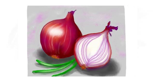 Drawing of Onion by DebbyLee