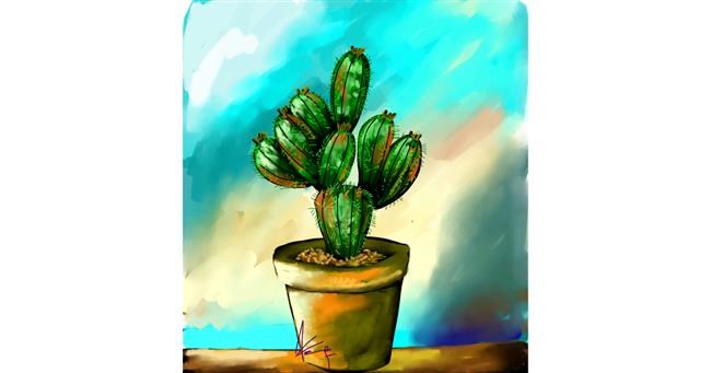 Drawing of Cactus by Arif