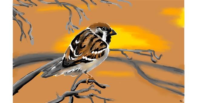 Drawing of Sparrow by flowerpot