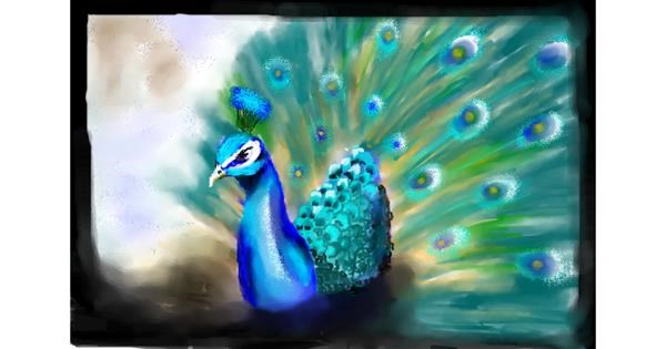 Featured image of post Beautiful Peacock Drawing Images / 1013 x 1072 jpeg 762 kb.