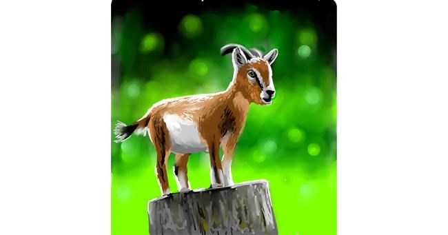 Drawing of Goat by Randi