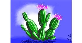 Drawing of Cactus by J