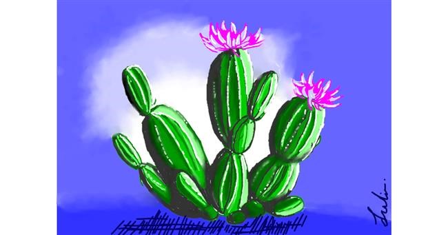 Drawing of Cactus by J