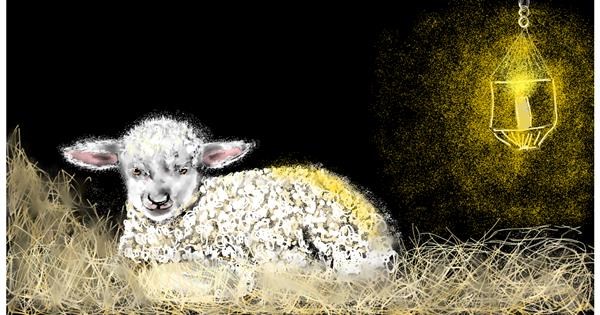 Sheep Drawing - Gallery and How to Draw Videos!