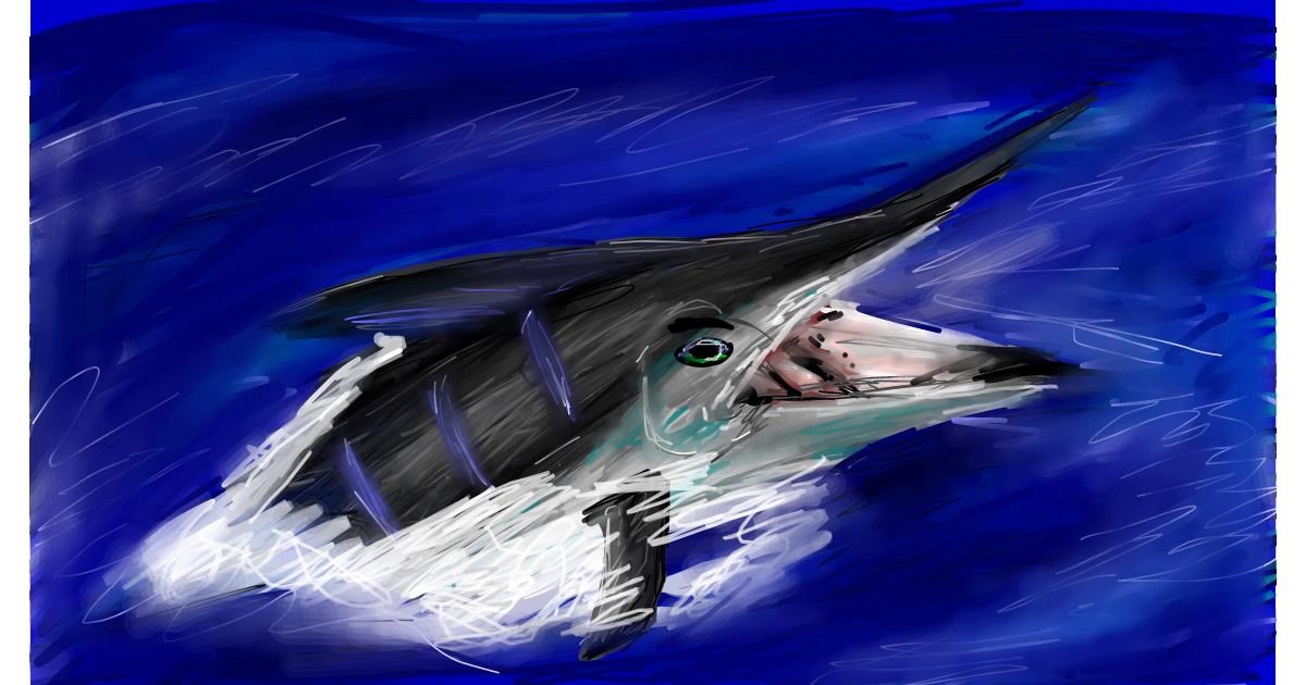 Swordfish Drawing by Soaring Sunshine - Drawize Gallery!