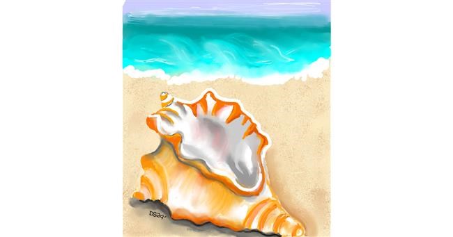 Drawing of Seashell by GreyhoundMama