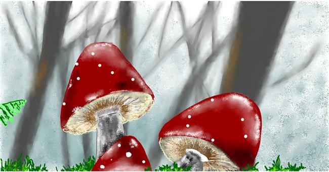 Drawing of Mushroom by Eclat de Lune