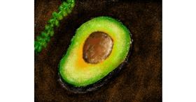 Drawing of Avocado by sam