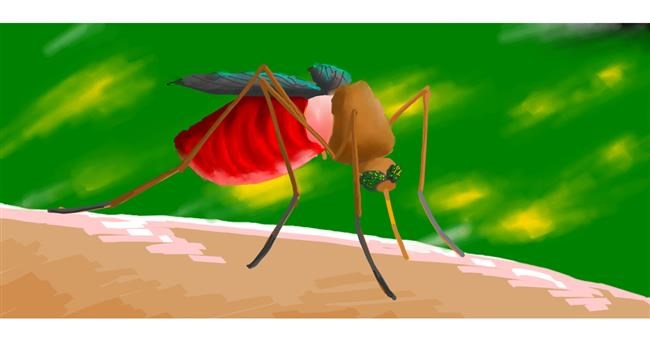 Drawing of Mosquito by Zanzarah